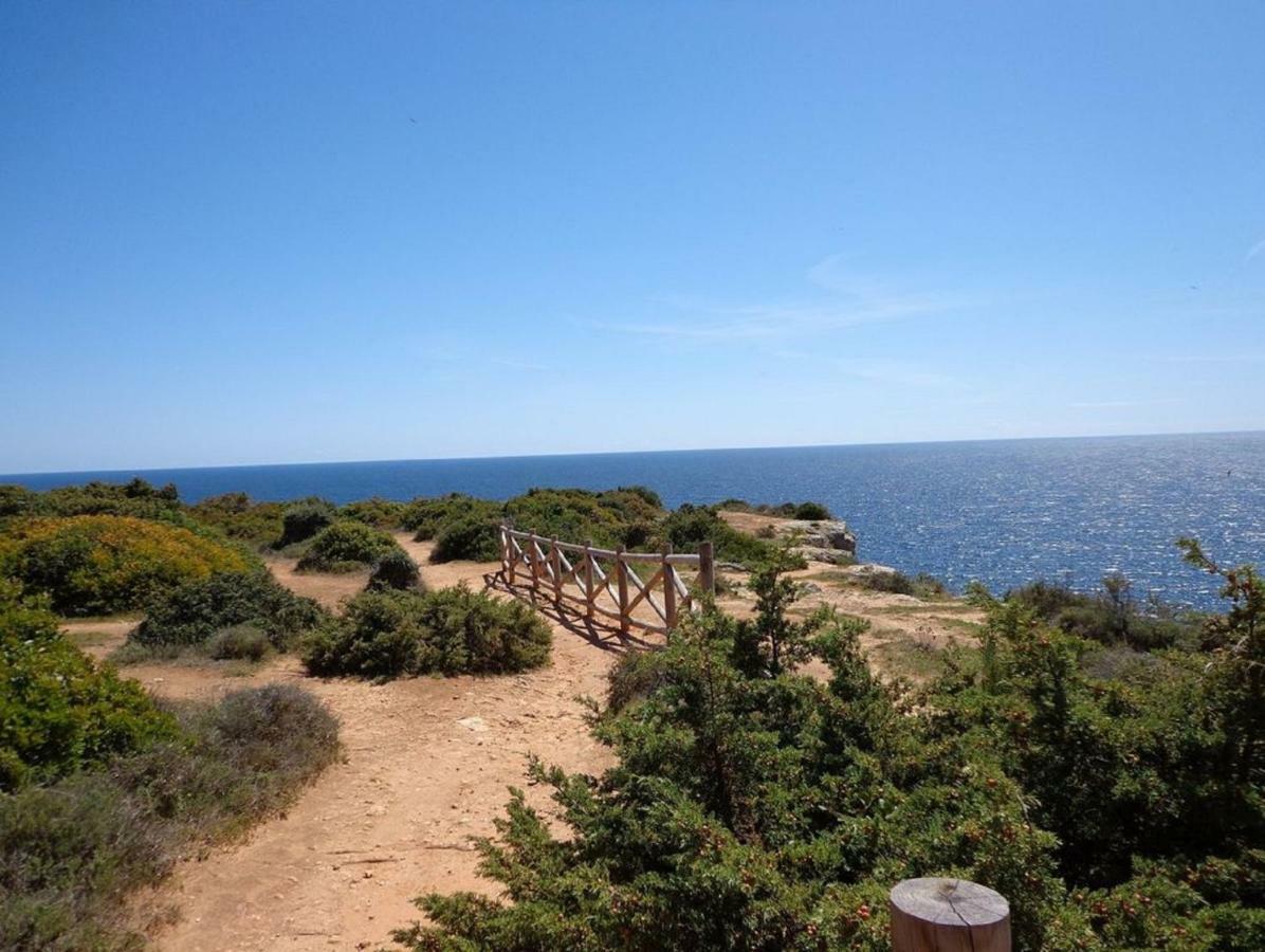 Appartement Ocean Terraces Gaivota I