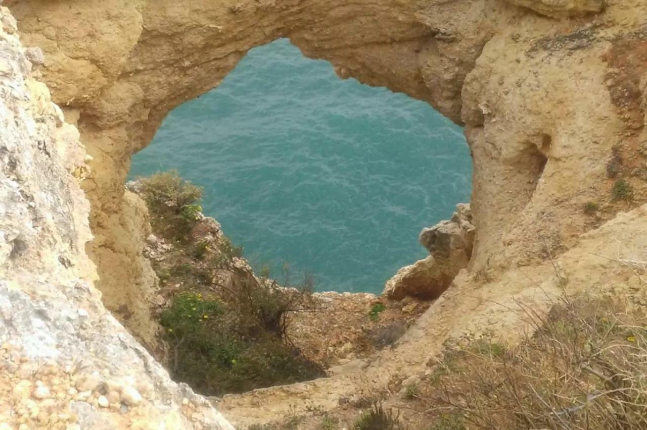 Ocean Terraces Gaivota I Appartement