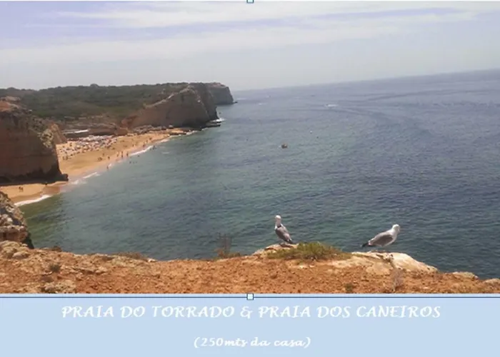 Ocean Terraces Vila Gaivota I