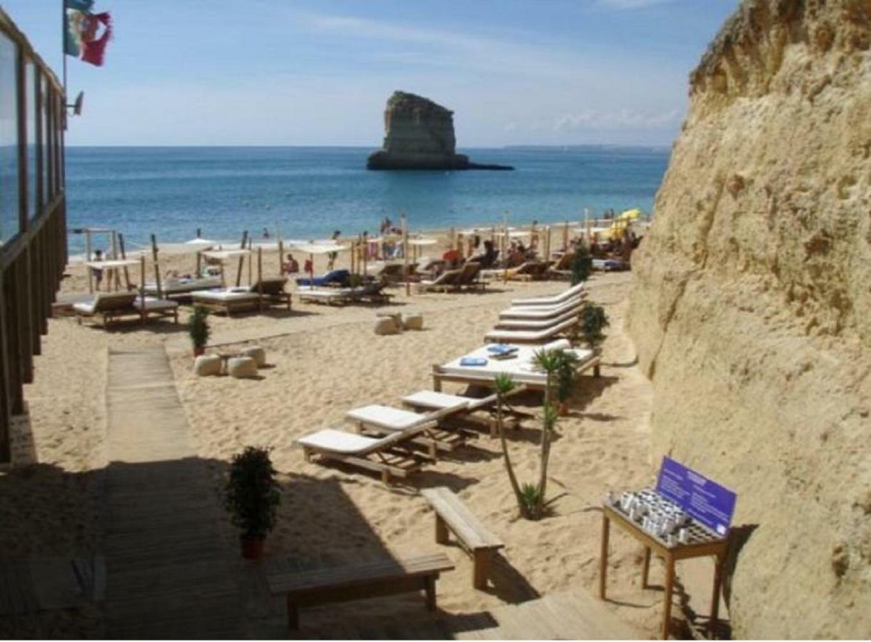 Apartment Ocean Terraces Gaivota I *